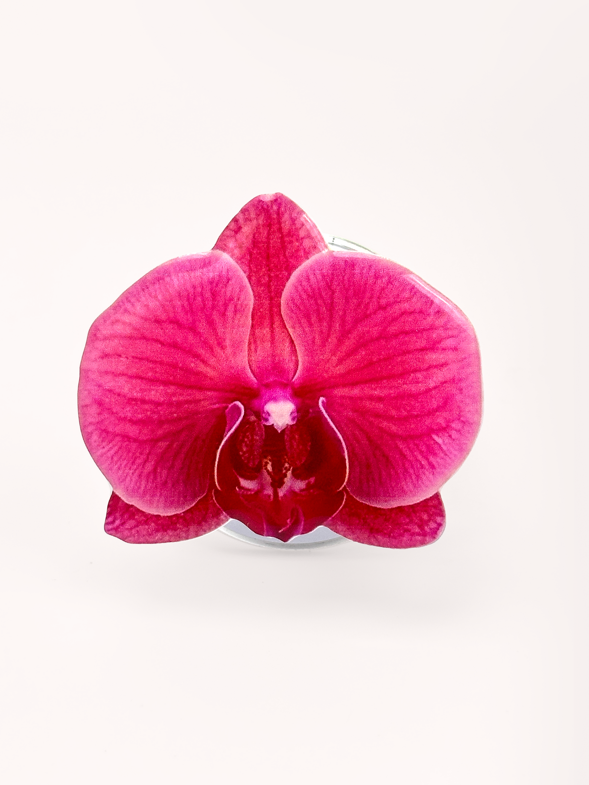 Fuchsia Orchid Magsafe by lil cacti