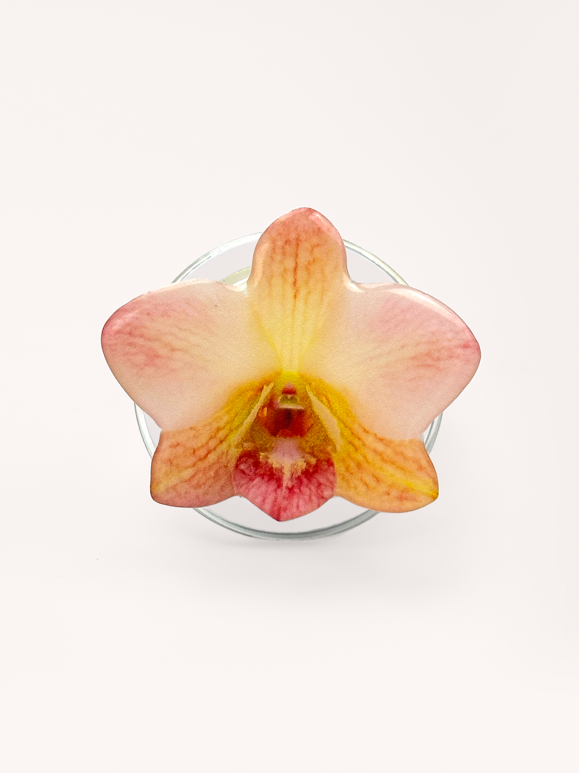 Champagne Orchid Magsafe