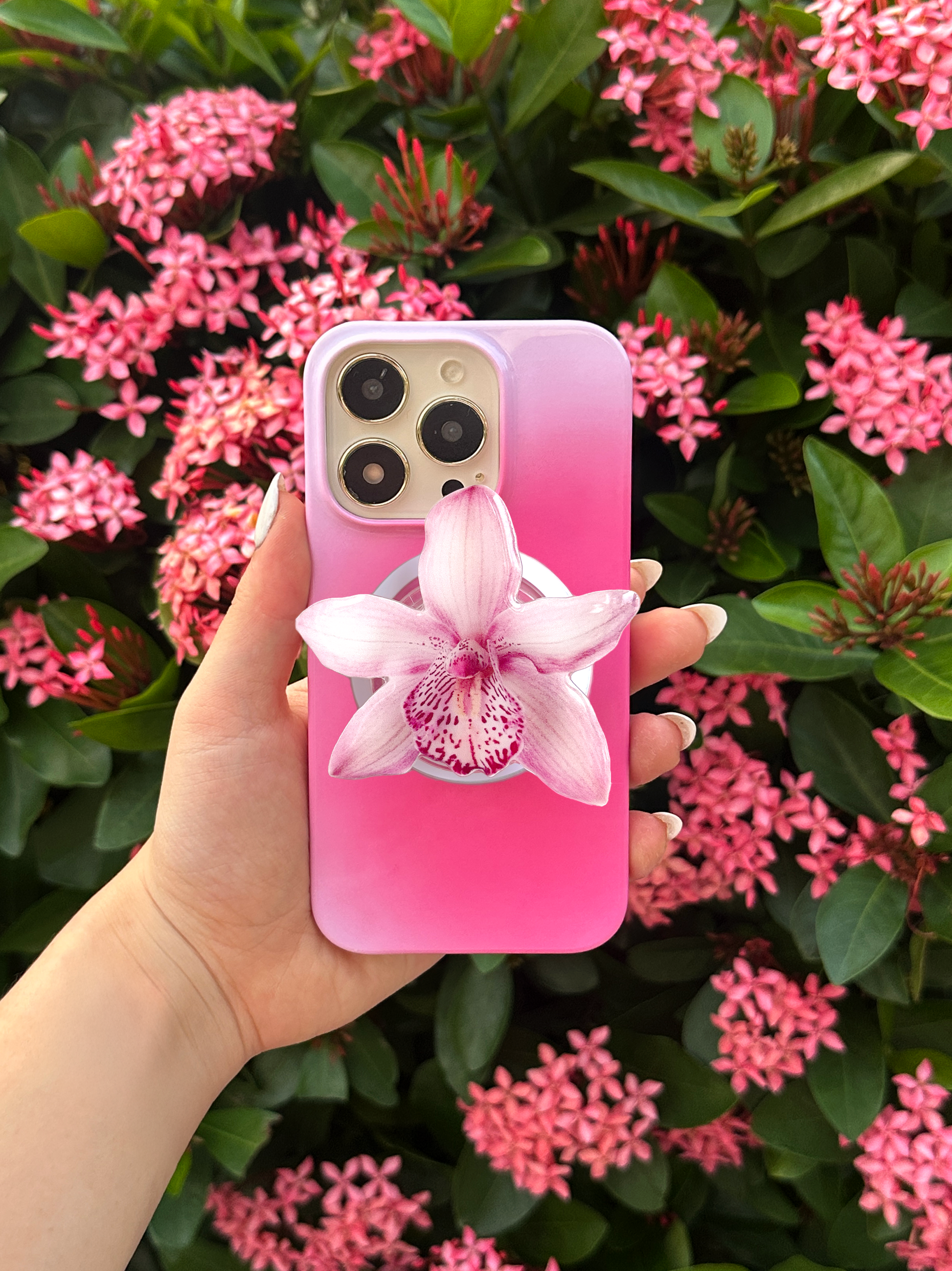 Pink Boat Orchid Magsafe