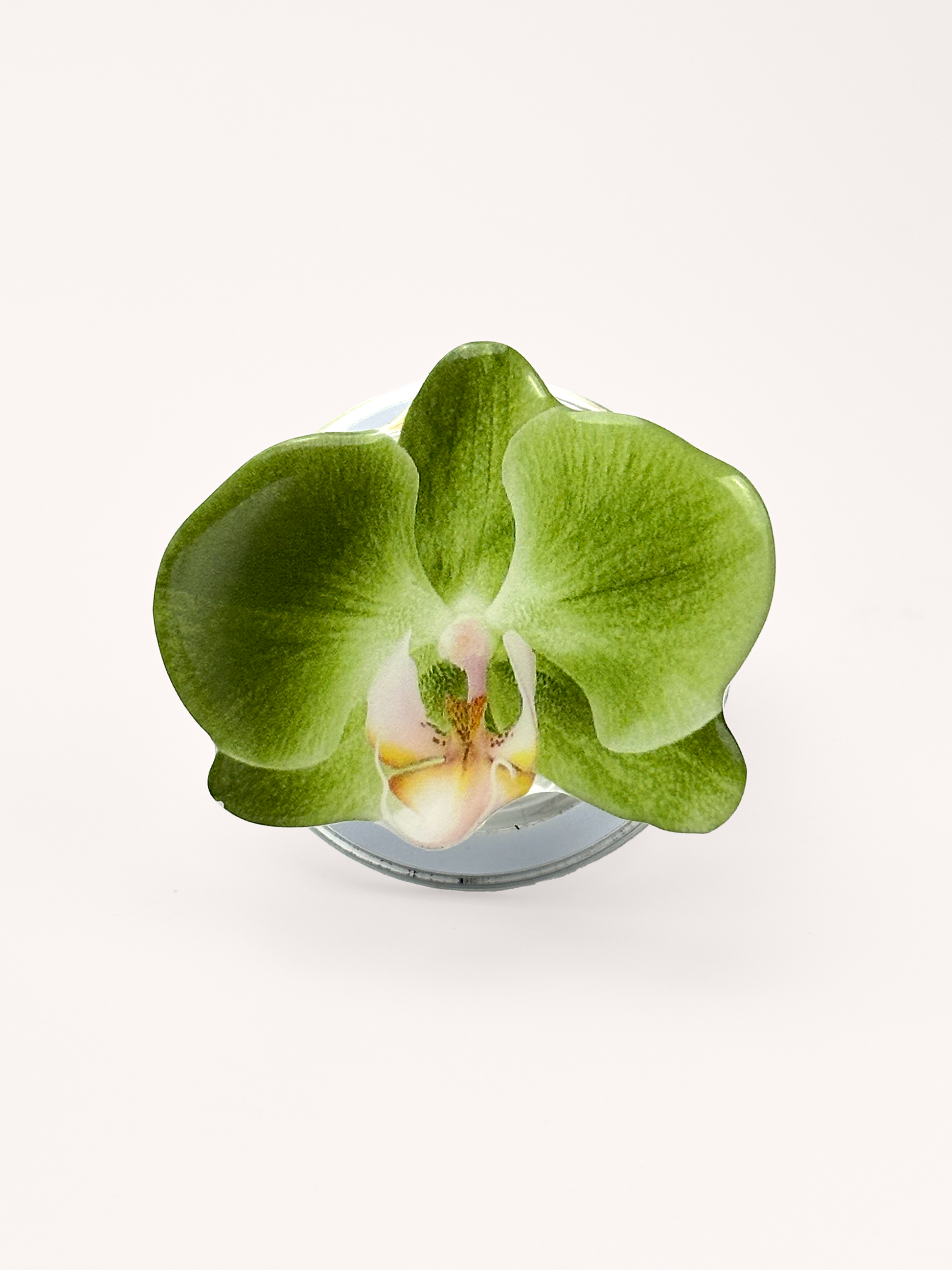 Matcha Orchid Magsafe