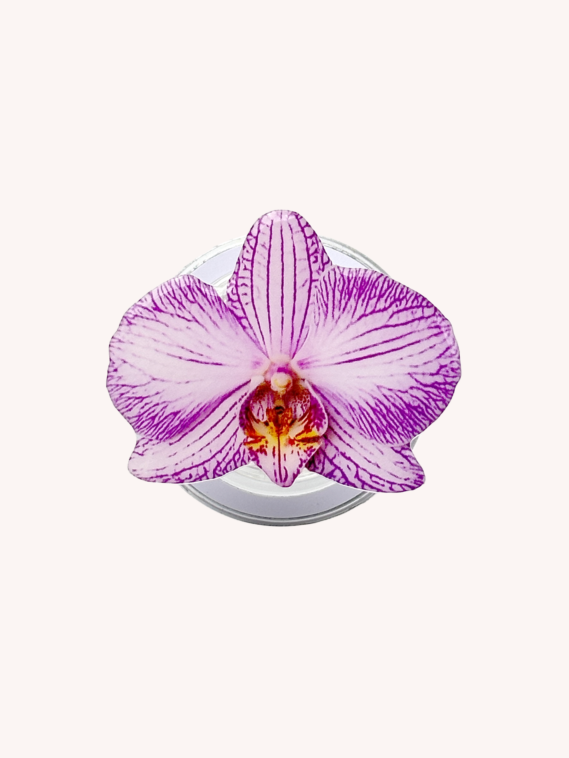 Purple Stripe Orchid Magsafe