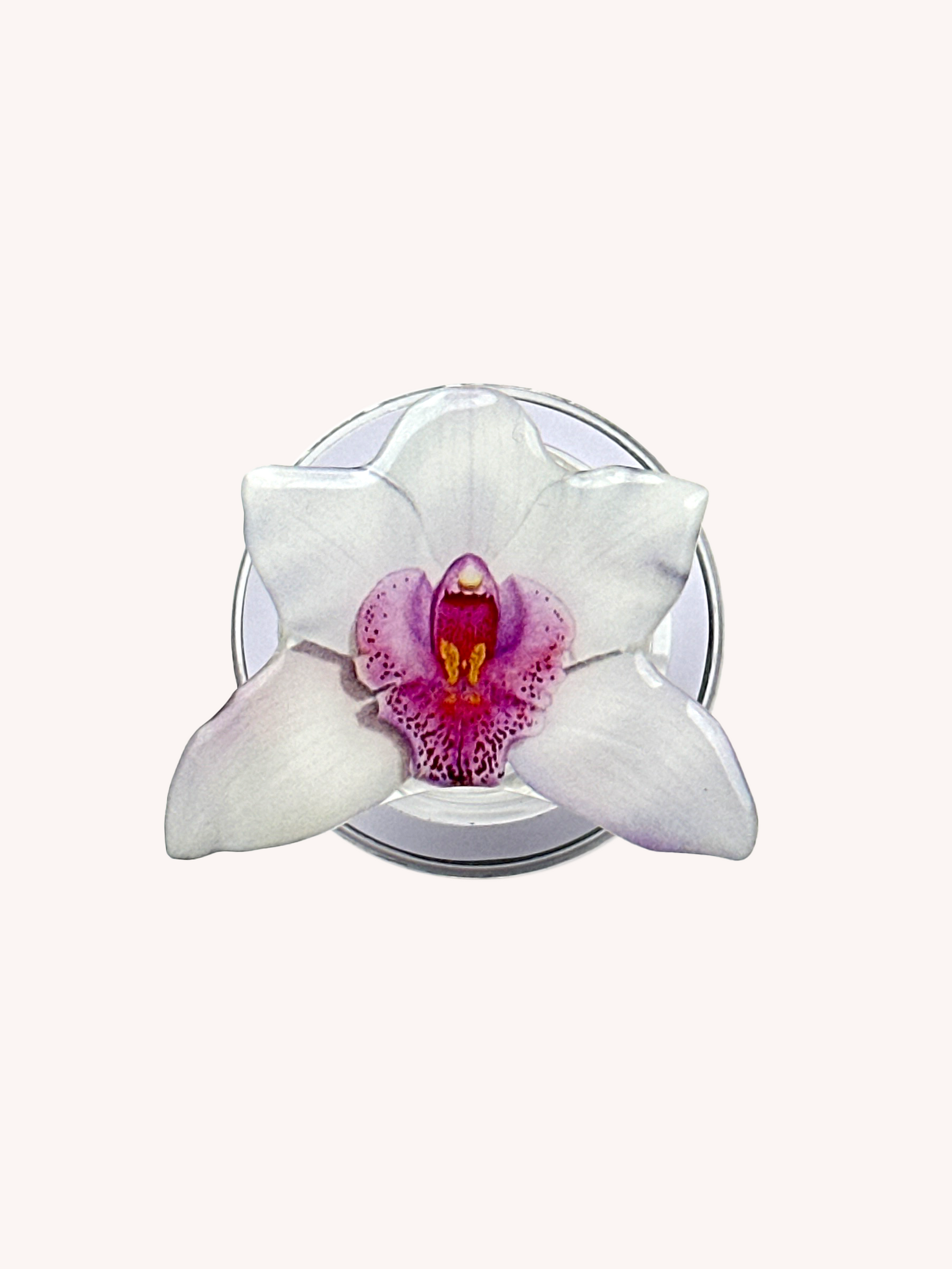 Snow_Orchid_Magsafe