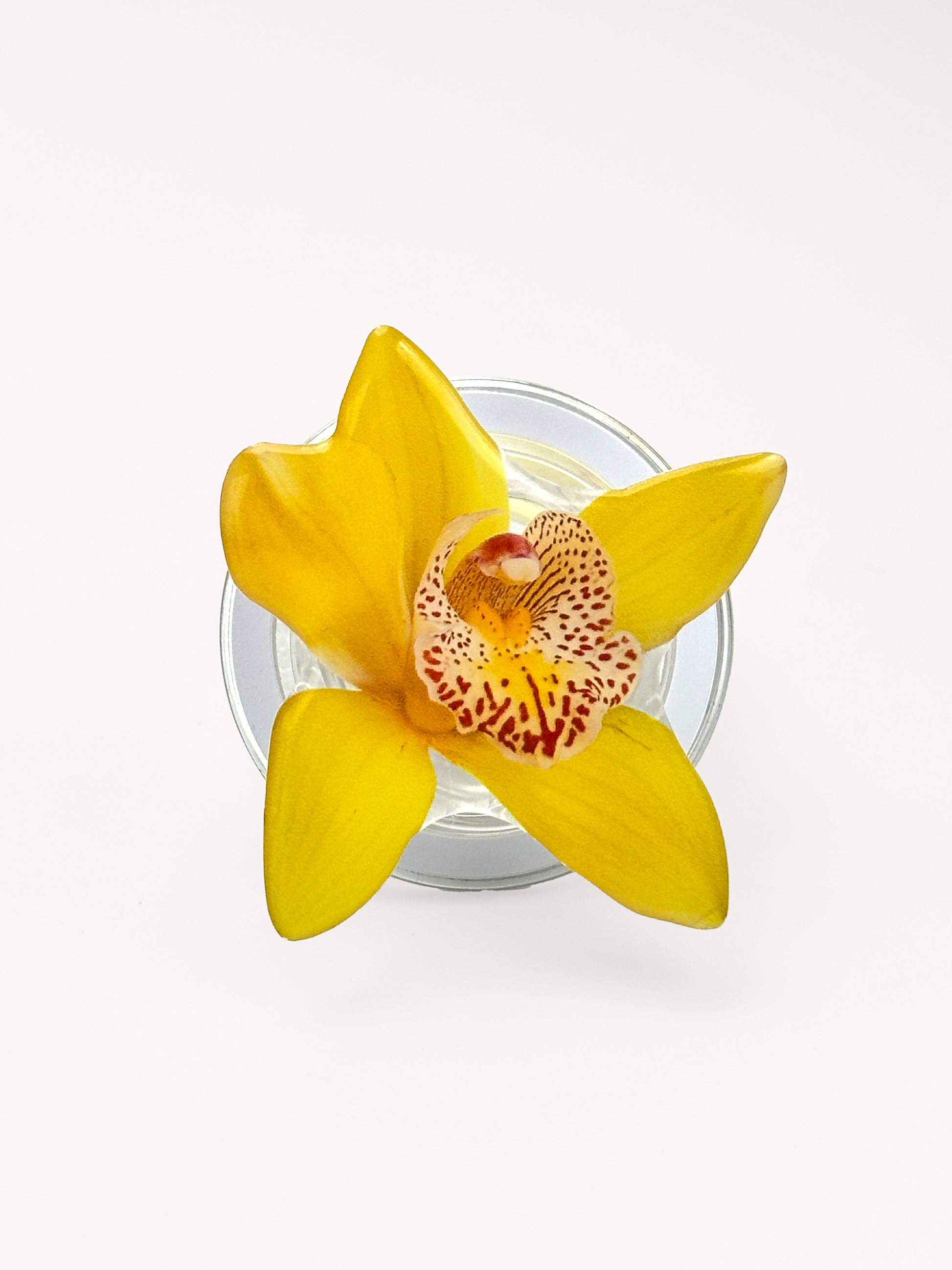 Yellow Boat Orchid Magsafe